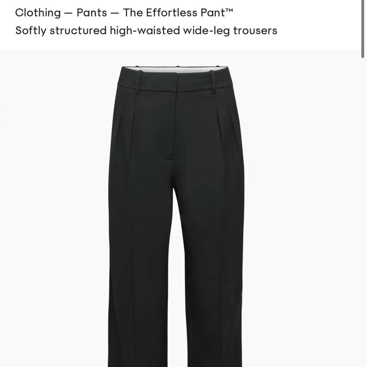 Aritzia Women's Black Trousers