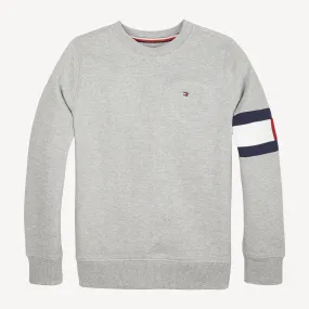 Boys 3-7 Flag Sleeve Sweatshirt | Hoodies | Tommy Hilfiger