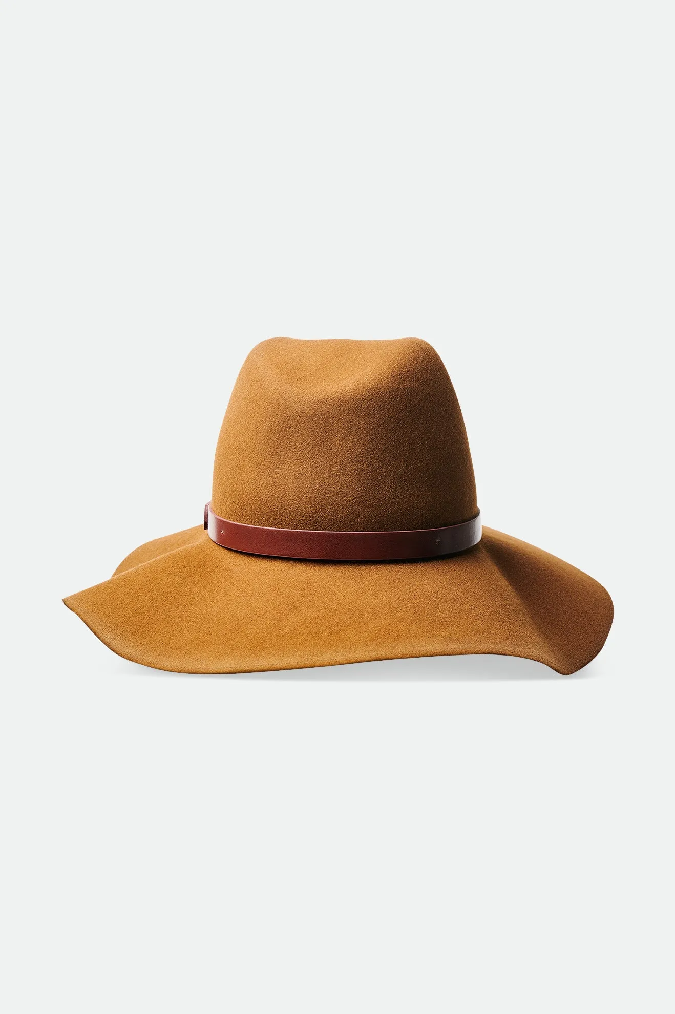 Layton Hat - Coffee